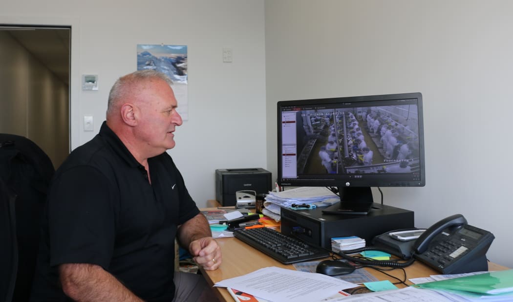 Steve Haywood, general manager of Sea Products Mussels, keeping an eye  the processing line by video.
