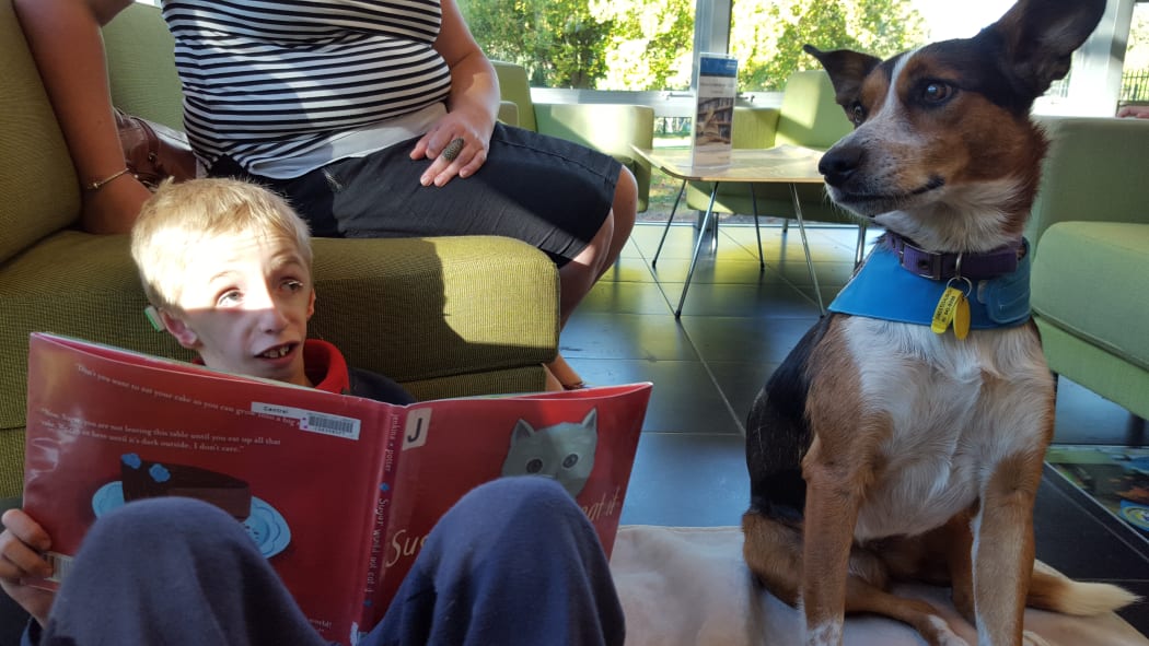 Theo de Heer, 8, reading to Poppy at the South Library in Christchurch.