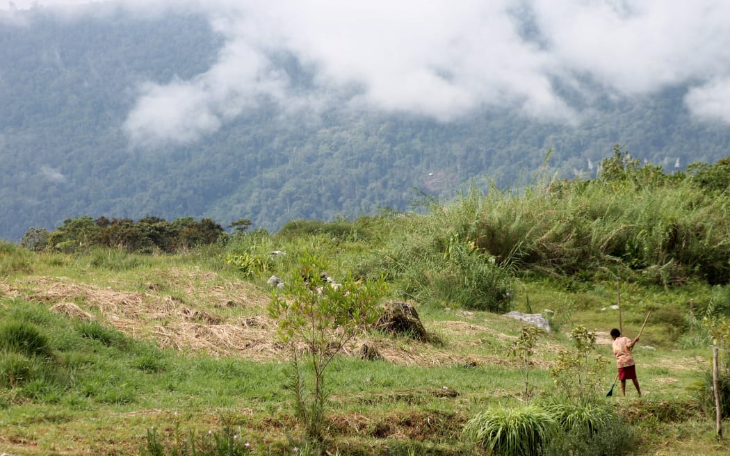 This picture taken on November 16, 2021 shows a woman rakes grass in Golgubip, Western Province, Papua New Guinea. Most residents of Papua New Guinea’s Star Mountains are still dependent on subsistence agriculture for a living and are increasingly frustrated with the slow pace of development. (Photo by Chris McCALL / AFP) / TO GO WITH: PNG-NATURE-CONSERVATION-ANIMAL, FEATURE BY CHRIS MCCALL - TO GO WITH: PNG-nature-conservation-animal, FEATURE by Chris MCCALL