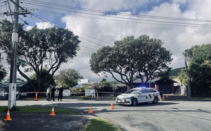 Armed police are guarding a scene in Lower Hutt and have shut off a section of Malone Road.