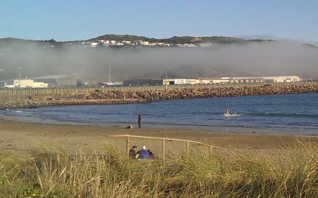 Fog at the airport and Lyall Bay began to lift on Thursday evening.