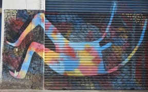 dunedin street art