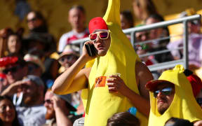 A fan in the stands makes a call.