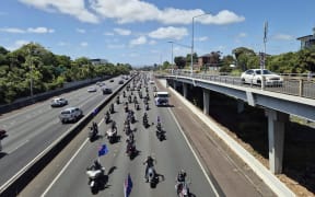 Make New Zealand Great Again protesters on State Highway 1, Auckland, 16 November 2024.