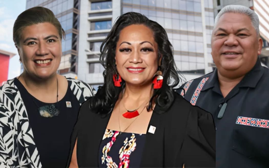 Auckland Councillors oppose the government's plan to remove the four well-beings, calling them core to local government.