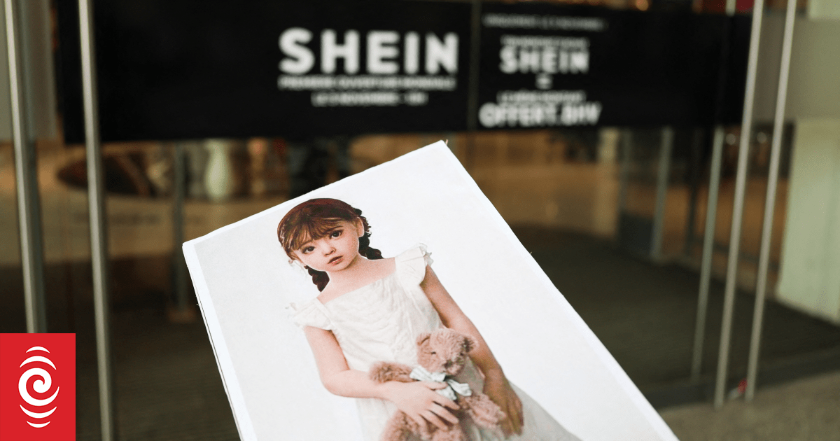 France looks to suspend Shein over childlike sex dolls