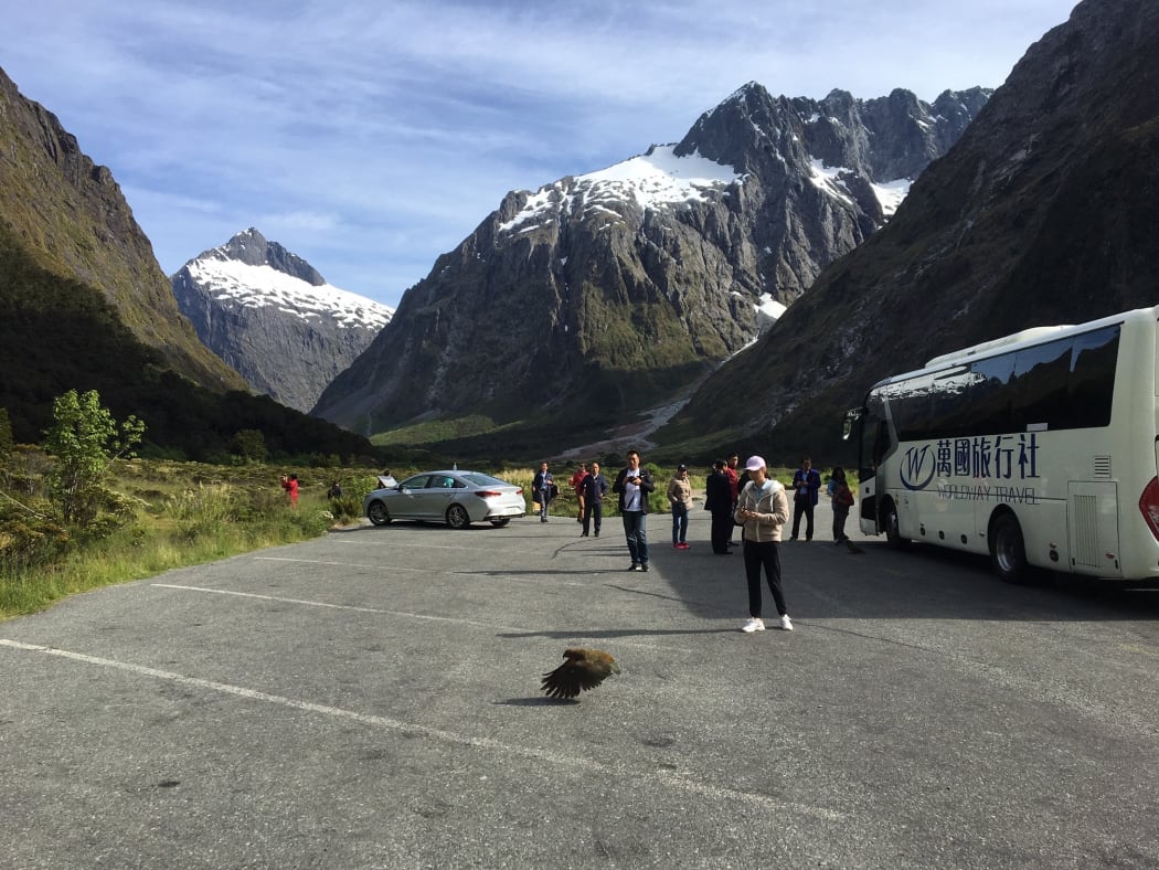 Independent traveler numbers exceeding tour groups