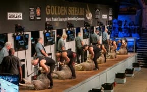 Competitors in the Golden Shears contest on 4 March, 2023.