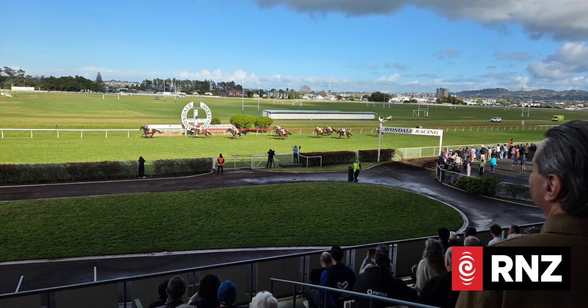 Avondale Jockey Club takes racing industry body to court
