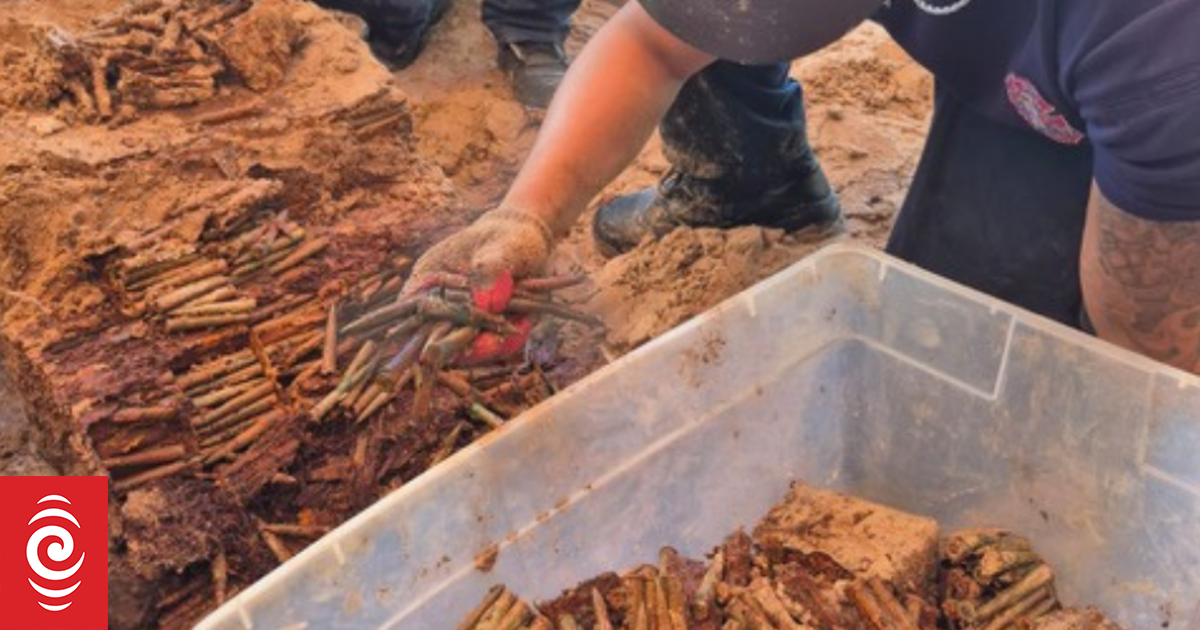 Unexploded WWII ordnance unearthed at American Memorial Park in Saipan