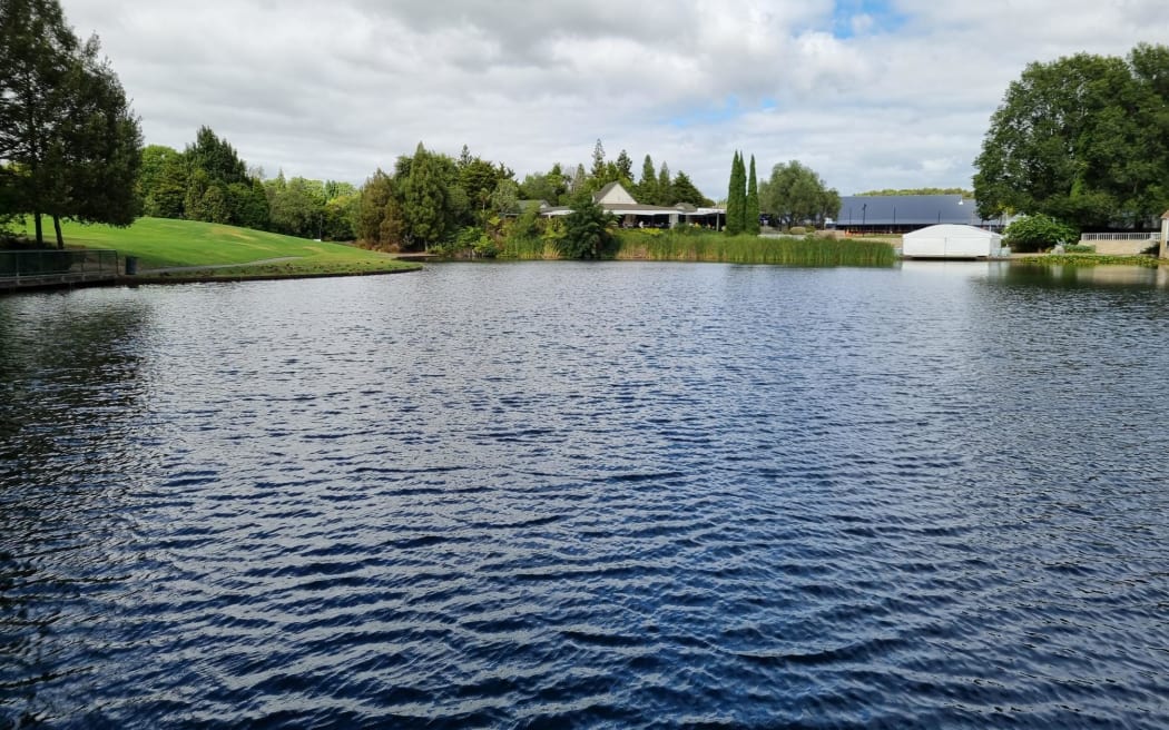 Turtle Lake in Hamilton Gardens