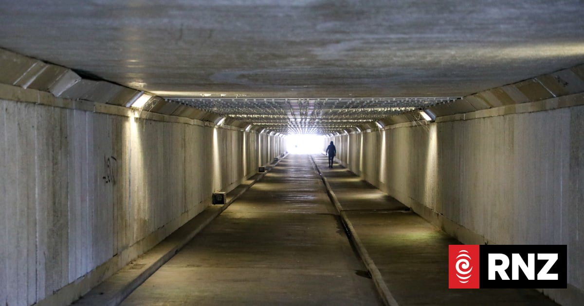 Police puzzled by grisly discovery in Wellington pedestrian tunnel