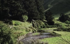 No dam site has yet been confirmed, but one option could flood this valley at Mangatarere.