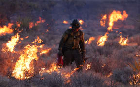 Crane Valley Hotshots set a back fire as the York fire burns in the Mojave National Preserve on July 30, 2023. The York Fire has burned over 70,000 acres, including Joshua trees and yucca in the Mojave National Preserve, and has crossed the state line from California into Nevada. (Photo by DAVID SWANSON / AFP)