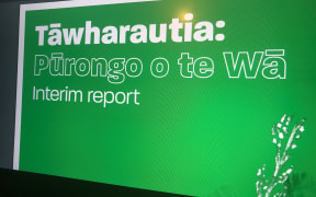 An interim report from the Royal Commission into Abuse in Care was released on 16 December.