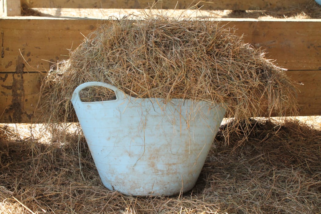 Basket of Hay