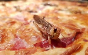 Locust on a pizza