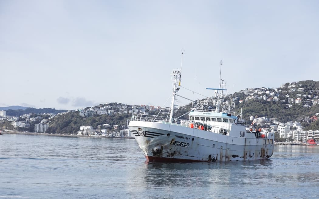 The Viking Bay shipping vessel makes it's way into Queen's Wharf in Wellington