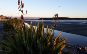 Foxton Beach