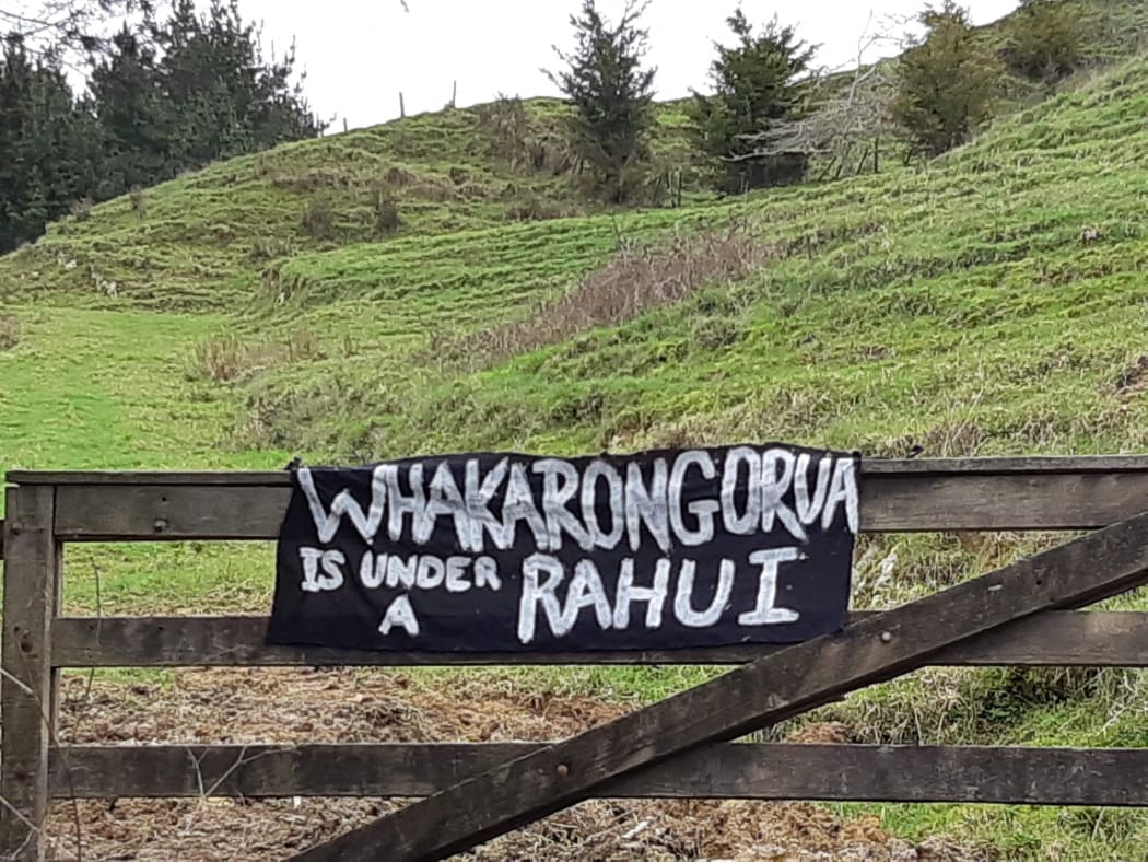 Hapū in Northland are willing to occupy a mountain in Hokianga to stop the construction of a cell phone tower.