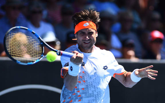David Ferrer