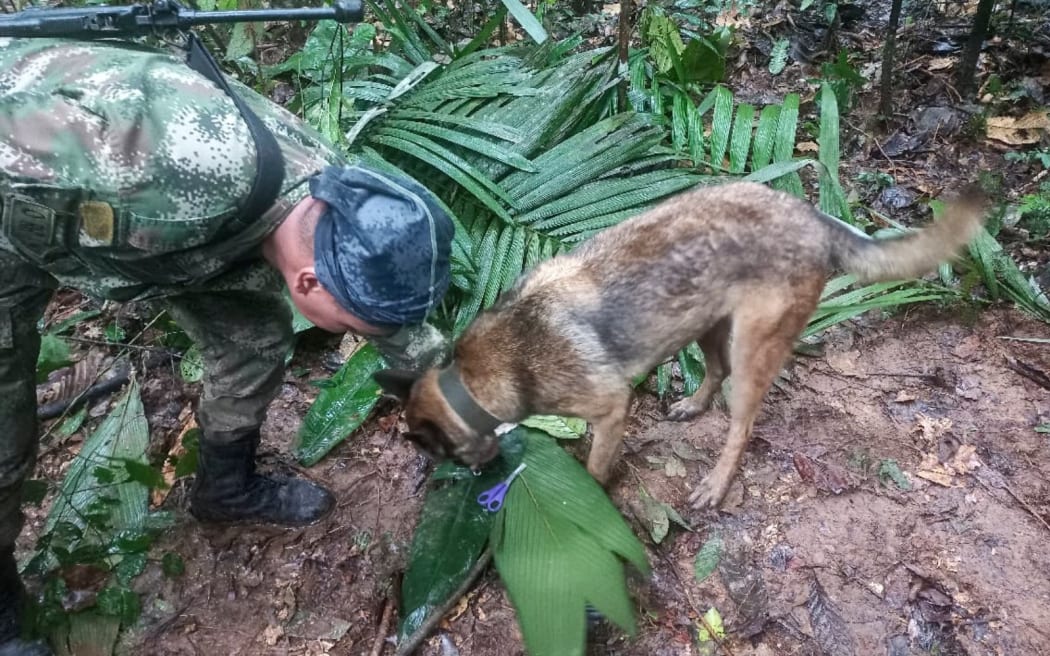 A handout picture released by the Colombian army shows a soldier with a dog checking a pair of scissors found in the forest in a rural area of the municipality of Solano, department of Caqueta, Colombia, on May 17, 2023. More than 100 soldiers with sniffer dogs are following the "trail" of four missing children in the Colombian Amazon after a small plane crash that killed three adults, the military said Wednesday. (Photo by Handout / Colombian army / AFP) / RESTRICTED TO EDITORIAL USE - MANDATORY CREDIT "AFP PHOTO / COLOMBIAN ARMY " - NO MARKETING - NO ADVERTISING CAMPAIGNS - DISTRIBUTED AS A SERVICE TO CLIENTS