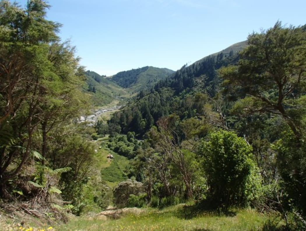 Brook Waimarama Sanctuary
