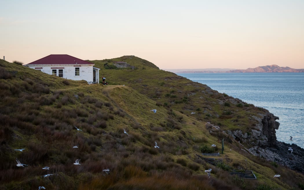 Golden hour after a hike to Cape Brett hut and Cape Brett lighthouse at the end of the Rawhiti Rusell Peninsula.