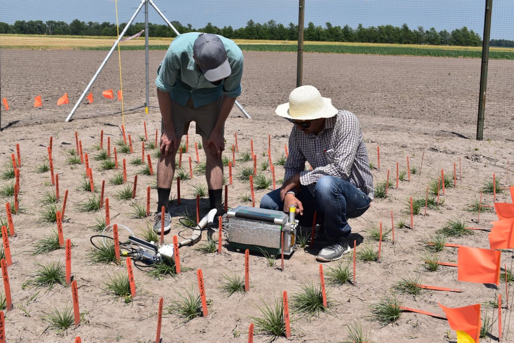 The trial site in the mid-west of the United States. Dr Luke Cooney (left) of AgResearch and using equipment that measures photosynthesis in the grass. 2017.