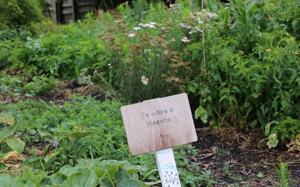 Green learning hub grows on red zone land RNZ