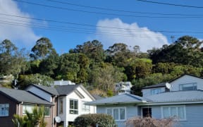 housing in Mt Albert