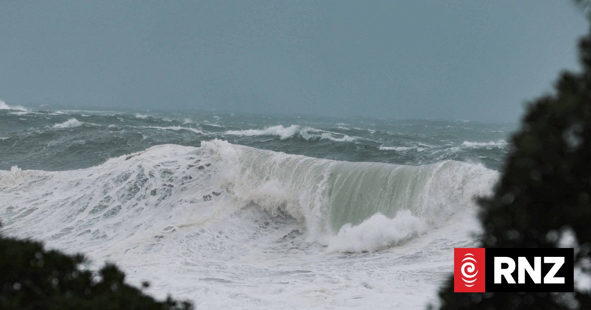 'Really scary': Wellington's coastal locals cleare