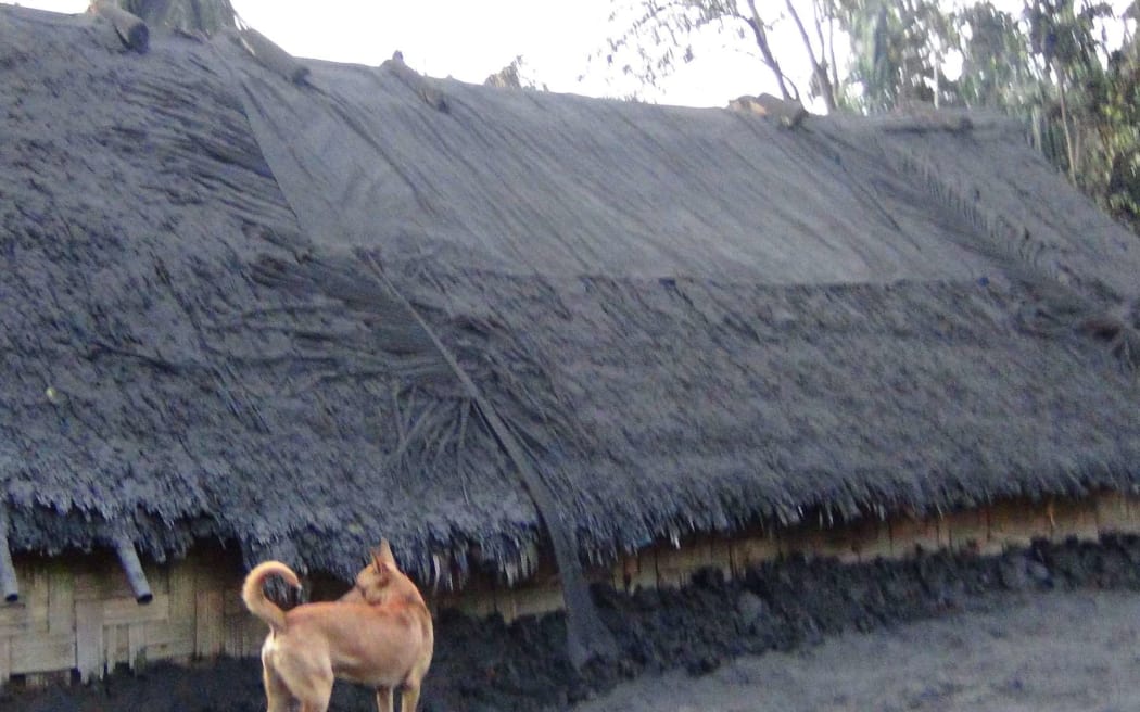 The default colour of Vanuatu's Ambae has become an ashen grey, with a volcanic eruption covering nearly every surface with ash.