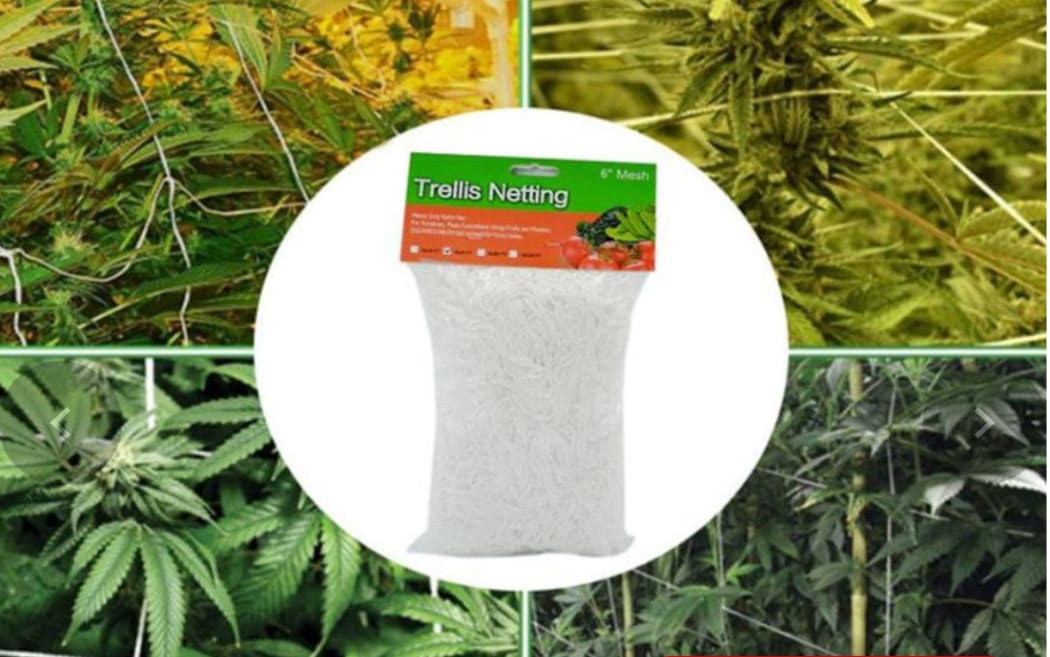 The Warehouse has removed a listing from its site that appeared to include photos of marijuana plants, even though it says it's "not sure" what type of plants they are.