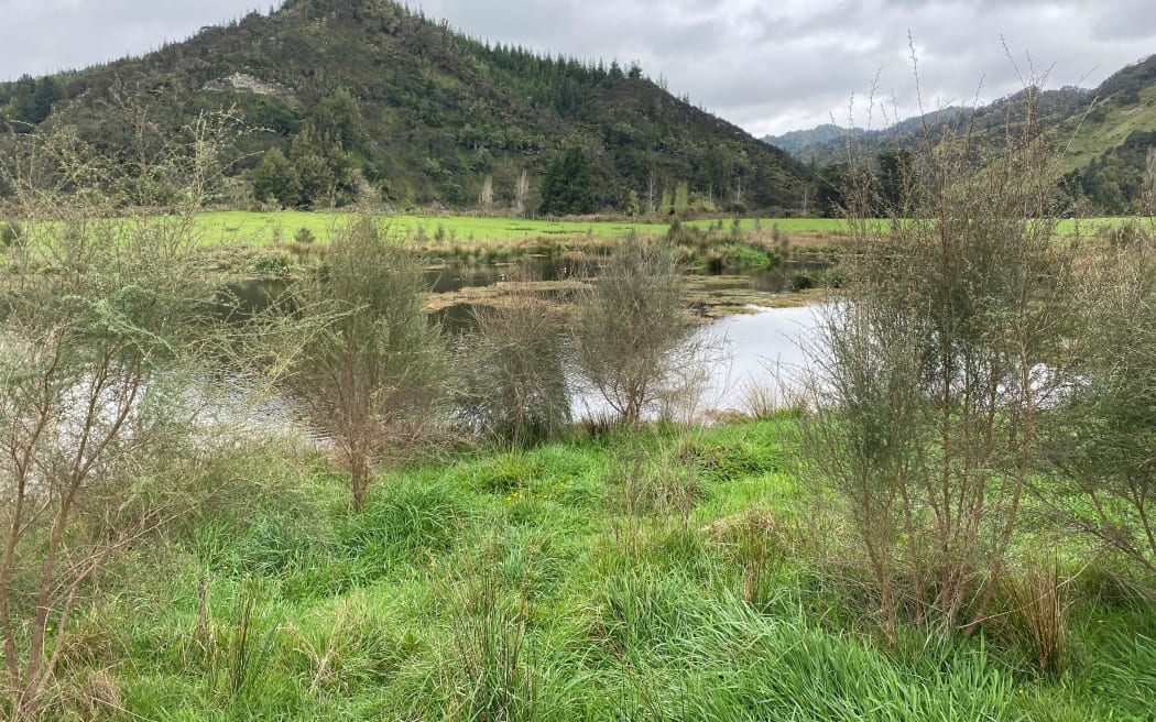 The wetland that Dan has constructed, seen on an stormy spring day.