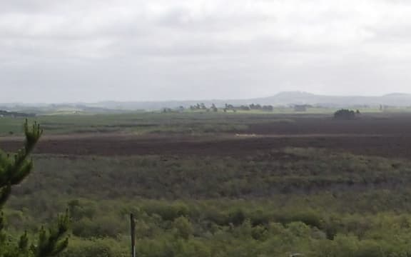 View of Whangmarino wetland