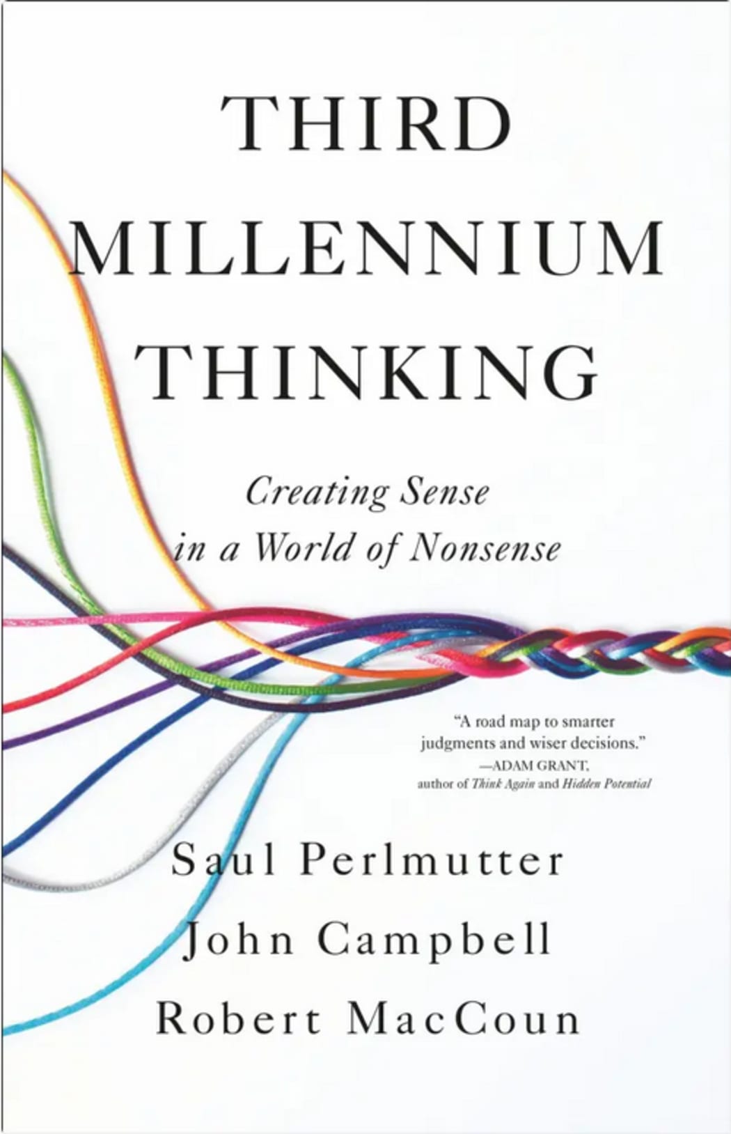Third Millennium Thinking book cover