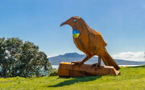 Image of Daniel McKerrow's giant tui.