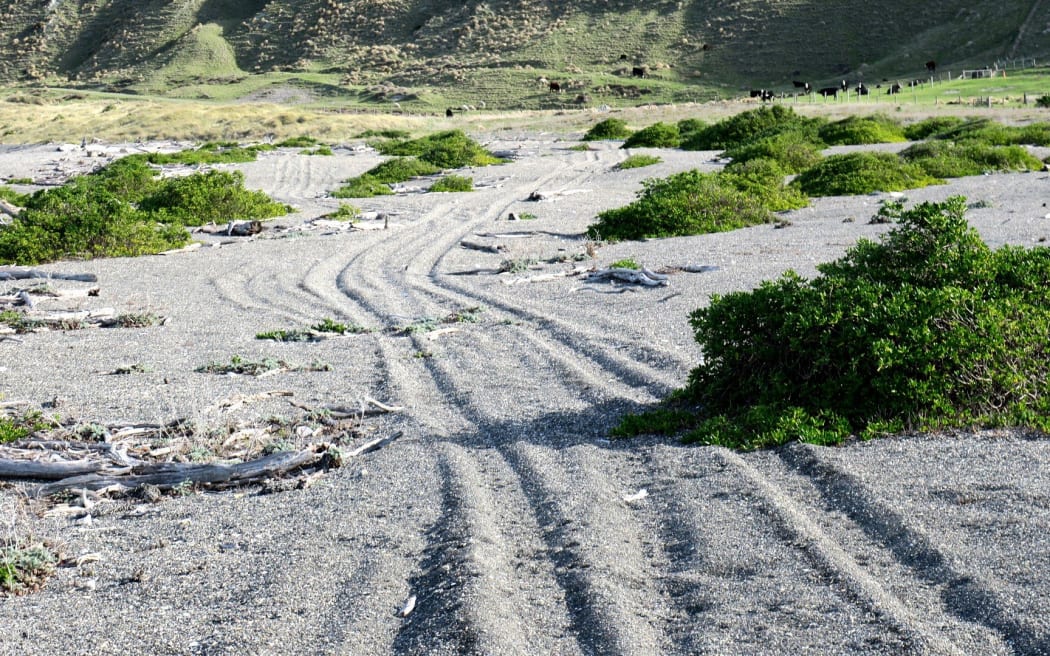 Conservationists have raised concerns about vehicles using Marlborough’s east coast.