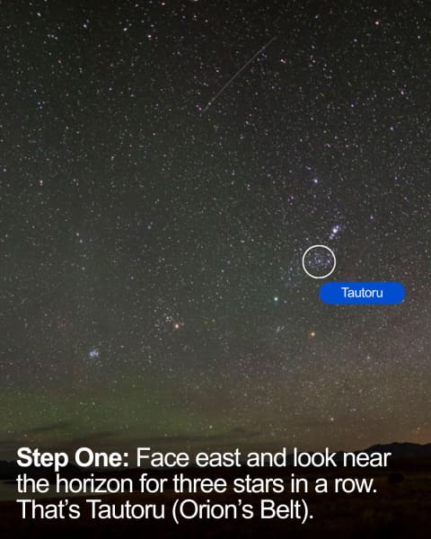 A visual guide for how to find the stars of Matariki.