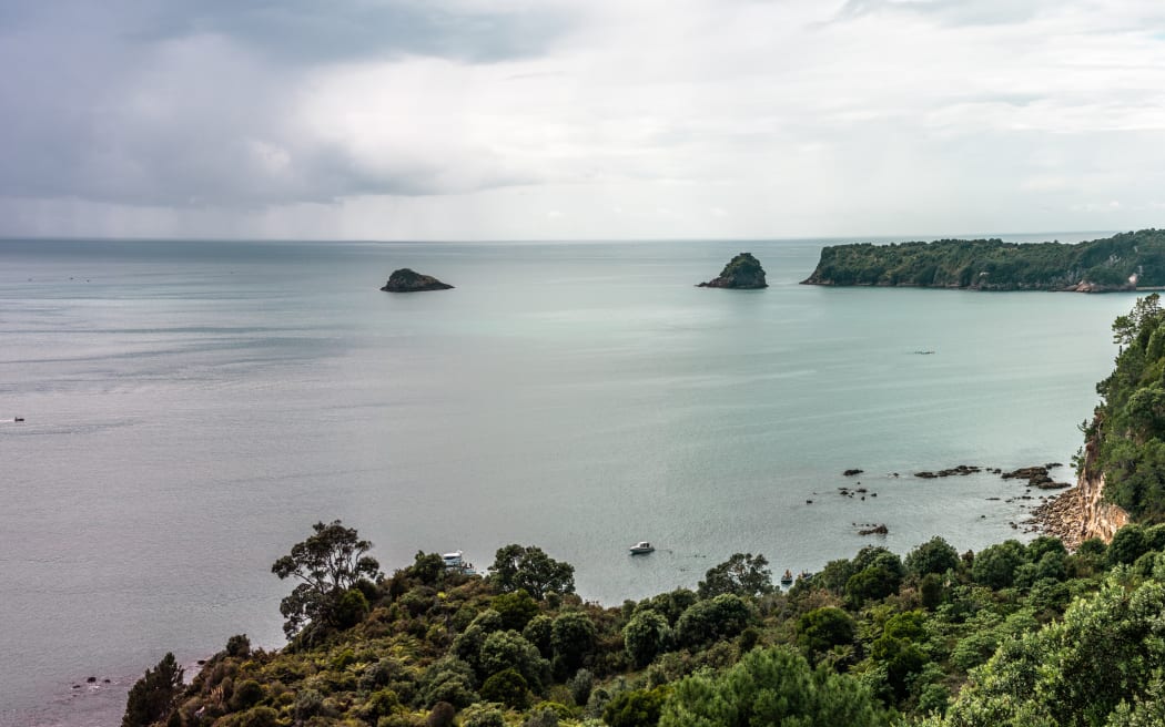 Beach in Coromandel Peninsula, North Island, New Zealand