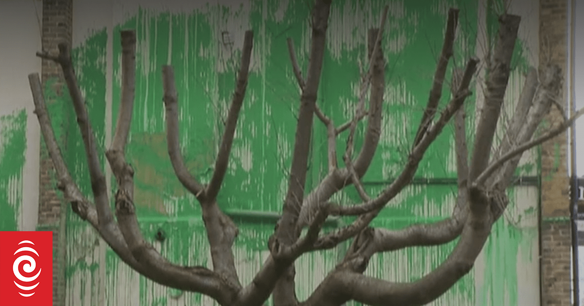 Banksy: Artist confirms new London tree mural is his own work | RNZ News