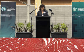 associate police minister Casey Costello