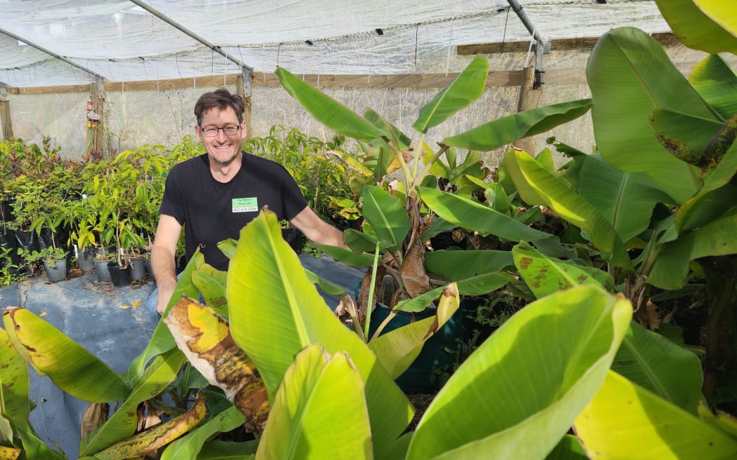Aaron with his tropical fruit tree plants massed in the nursery
