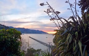 Governors Bay at sunrise in winter. In the foreground iconic Flax leaves and flowers and in the bacjkground the Jetty and town of Lyttleton.