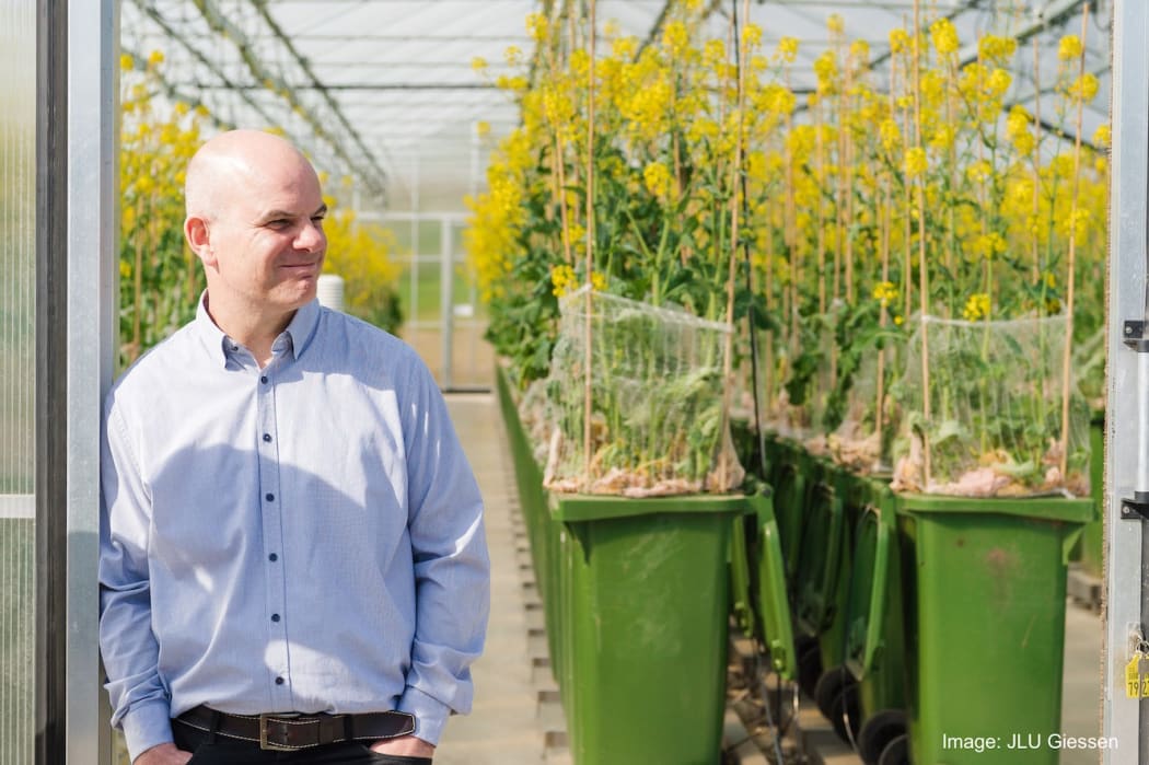 New Zealander Rod Snowdon has been living in Giessen, Germany, for a quarter of a century.