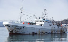 The Viking Bay deep sea fishing vessel with two Covid-postive crew aboard makes its way into Queen's Wharf, Wellington.
