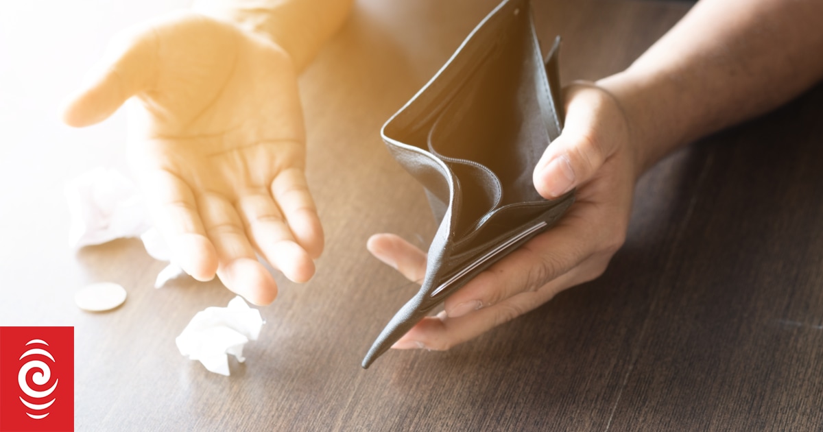 Financial mentors report being overworked, underfunded