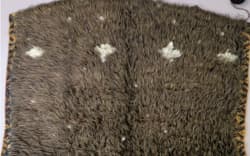 Webber launches fundraiser for injured Kiwi | RNZ