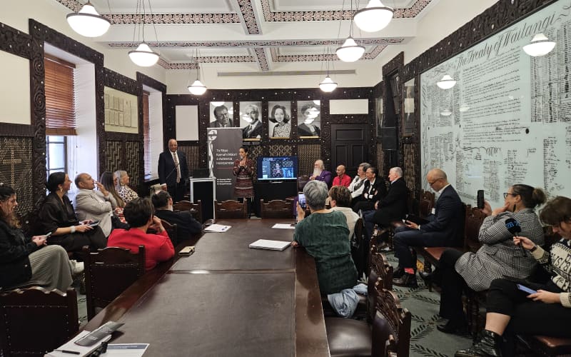 Māori unions and iwi leaders say the Budget will not alleviate Māori ...